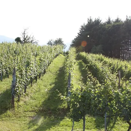 Il Podere Di Emore - Locazione Turistica *